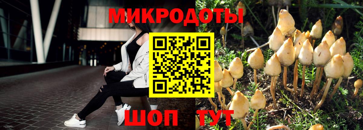 Псилоцибиновые грибы мухоморы Нововоронеж