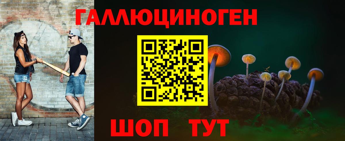 Нововоронеж  Псилоцибиновые грибы Magic Shrooms  магазин продажи наркотиков  Вход с VPN 
